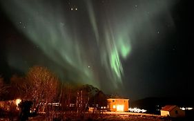 PederStua